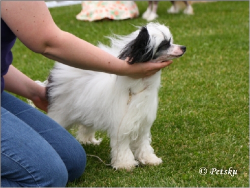 Sun_Dan Key_To_My_Heart_4